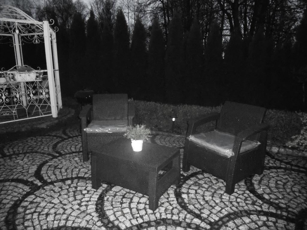 Mizerowka Guest House Kudowa-Zdrój Exteriér fotografie